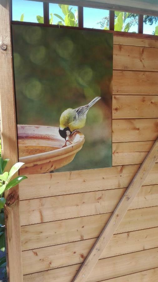 De Zes Wielen Alkmaar Ngoại thất bức ảnh